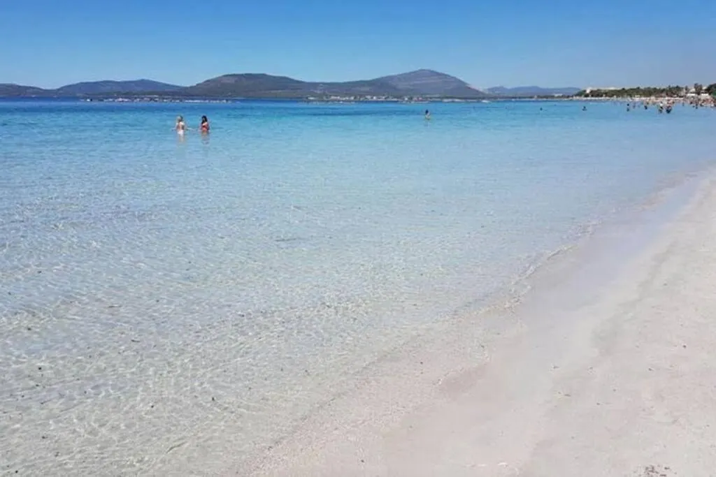 Lido Beach Apartments, Nuovi E Moderni, Vicino Alla Spiaggia ألغيرو